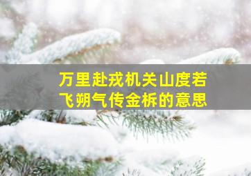 万里赴戎机关山度若飞朔气传金柝的意思