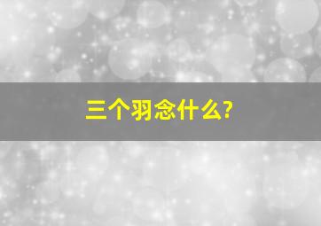 三个羽念什么?