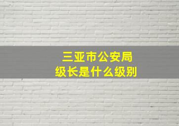 三亚市公安局级长是什么级别