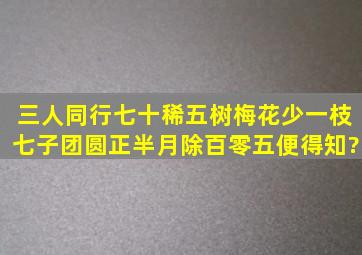 三人同行七十稀,五树梅花少一枝,七子团圆正半月,除百零五便得知?