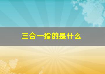 三合一指的是什么