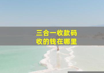 三合一收款码收的钱在哪里