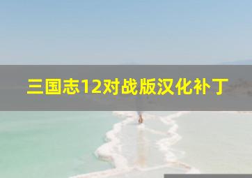 三国志12对战版汉化补丁