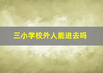 三小学校外人能进去吗