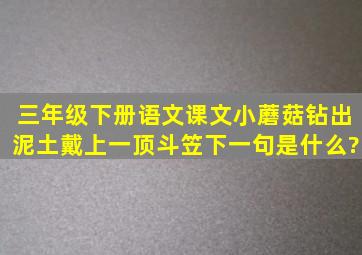 三年级下册语文课文小蘑菇钻出泥土戴上一顶斗笠下一句是什么?