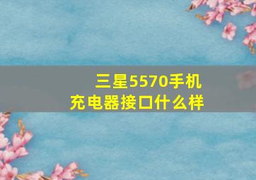 三星5570手机充电器接口什么样