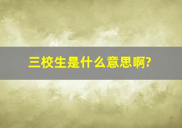 三校生是什么意思啊?