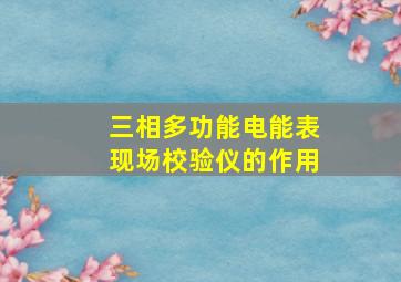 三相多功能电能表现场校验仪的作用