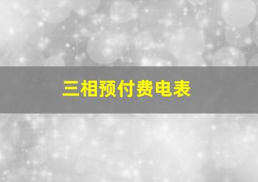 三相预付费电表