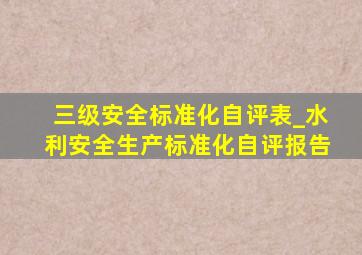 三级安全标准化自评表_水利安全生产标准化自评报告