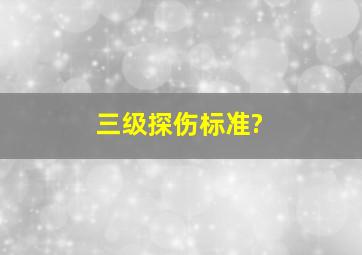 三级探伤标准?