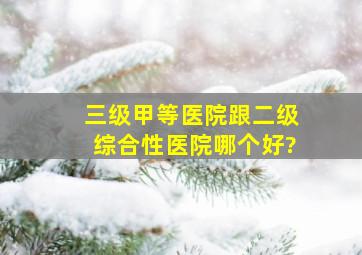 三级甲等医院跟二级综合性医院哪个好?