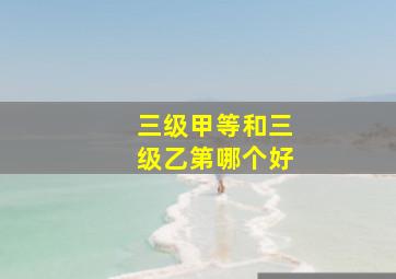 三级甲等和三级乙第哪个好