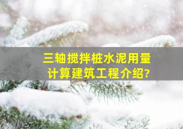 三轴搅拌桩水泥用量计算建筑工程介绍?