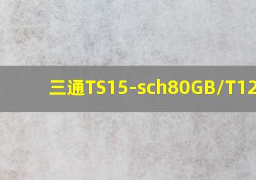 三通T(S)15-sch80GB/T12459