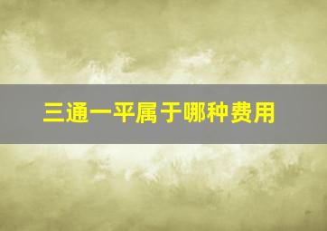 三通一平属于哪种费用