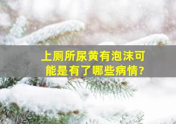 上厕所尿黄、有泡沫,可能是有了哪些病情?