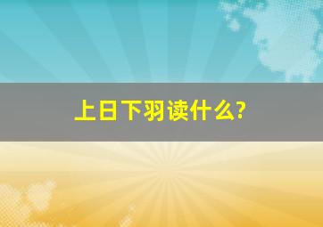 上日下羽读什么?