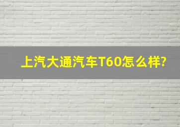 上汽大通汽车T60怎么样?