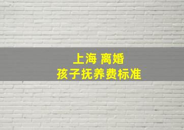 上海 离婚 孩子抚养费标准