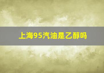 上海95汽油是乙醇吗(