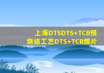 上海DTSDTS+TCB预烧结工艺DTS+TCB焊片