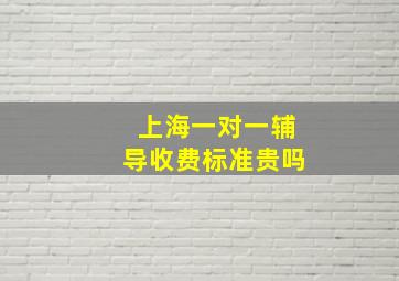 上海一对一辅导收费标准贵吗(