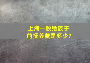 上海一般给孩子的抚养费是多少?