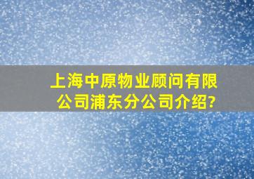 上海中原物业顾问有限公司浦东分公司介绍?