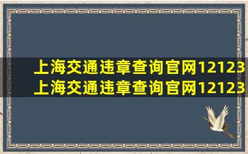 上海交通违章查询官网12123(上海交通违章查询官网12123电话)