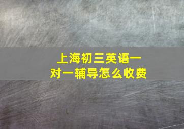 上海初三英语一对一辅导怎么收费