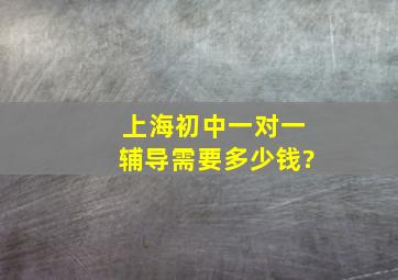 上海初中一对一辅导需要多少钱?