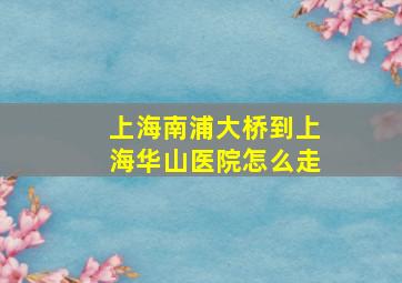 上海南浦大桥到上海华山医院怎么走