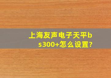 上海友声电子天平bs300+怎么设置?