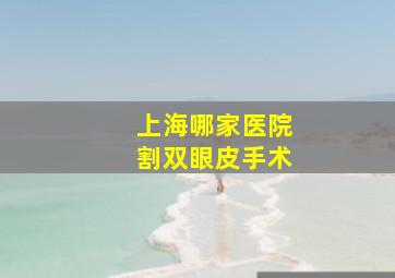 上海哪家医院割双眼皮手术