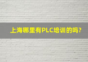 上海哪里有PLC培训的吗?