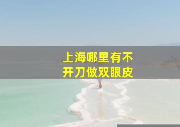 上海哪里有不开刀做双眼皮