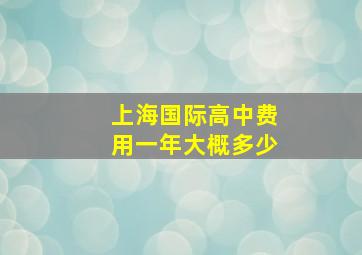 上海国际高中费用一年大概多少