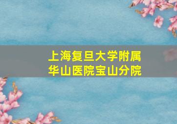 上海复旦大学附属华山医院宝山分院