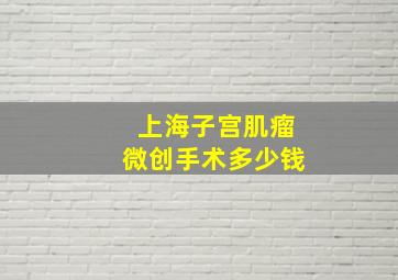 上海子宫肌瘤微创手术多少钱(