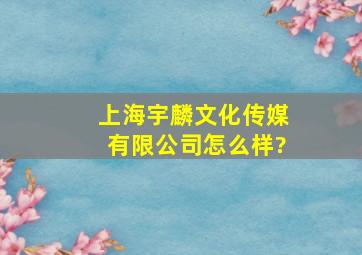 上海宇麟文化传媒有限公司怎么样?