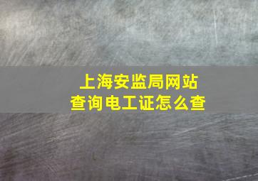 上海安监局网站查询电工证怎么查