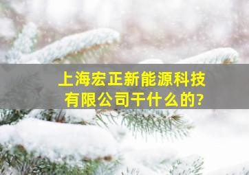 上海宏正新能源科技有限公司干什么的?