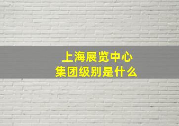 上海展览中心集团级别是什么