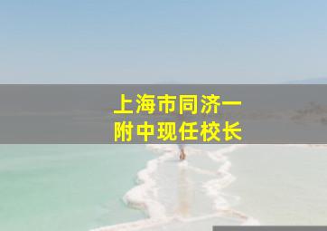 上海市同济一附中现任校长