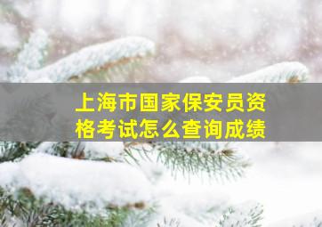 上海市国家保安员资格考试怎么查询成绩