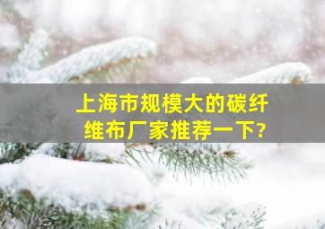 上海市规模大的碳纤维布厂家推荐一下?