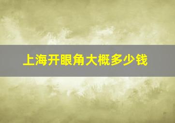 上海开眼角大概多少钱(