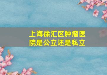 上海徐汇区肿瘤医院是公立还是私立