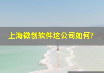 上海微创软件这公司如何?